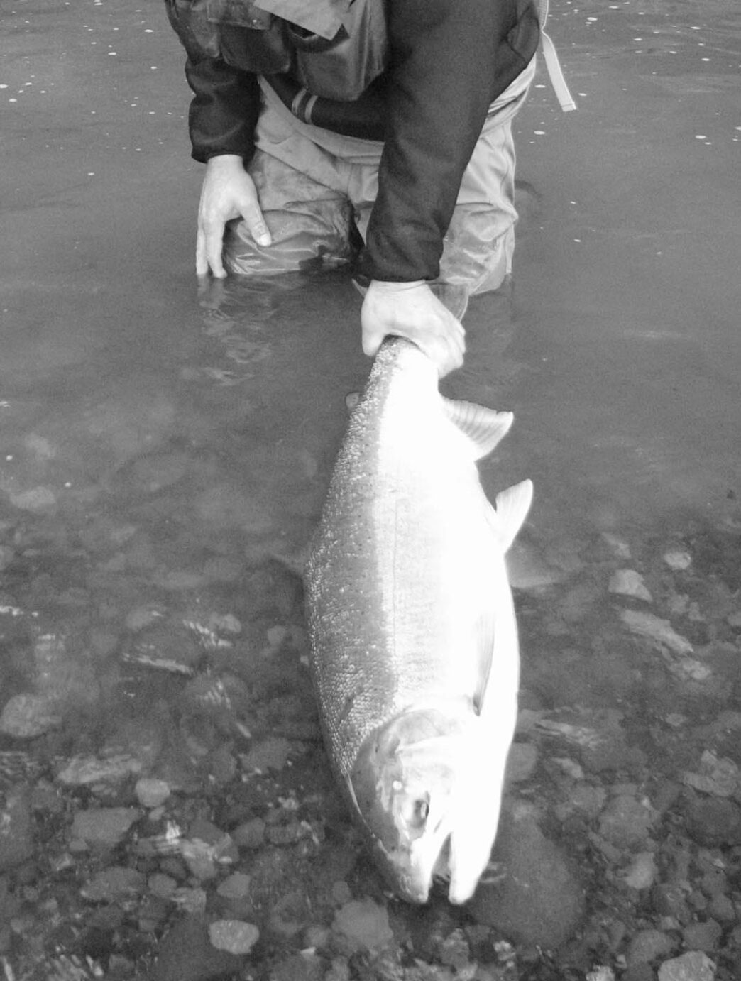hooking