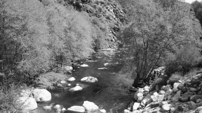 water-flows