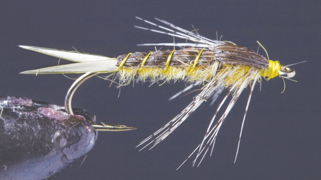BILL’S LITTLE YELLOW STONEFLY NYMPH