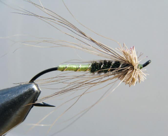 Tying the Green Butt Muddler