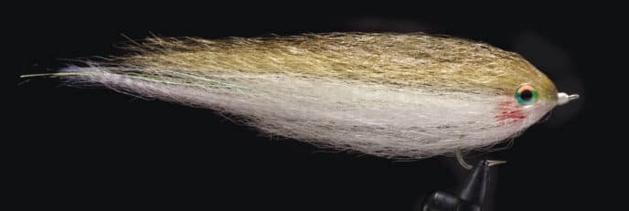 mike_riesers_gym_sock