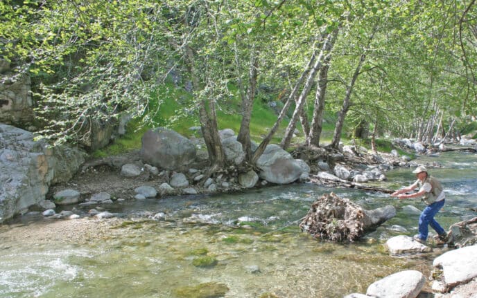 stream