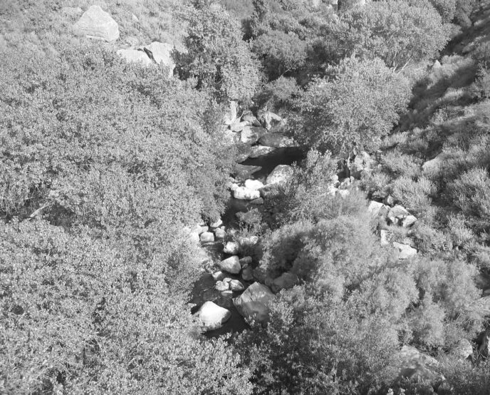 stream