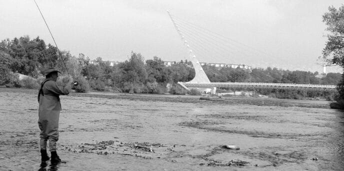 sundia-bridge