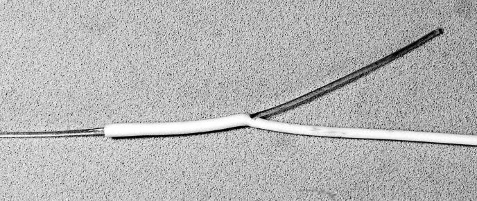 splicing