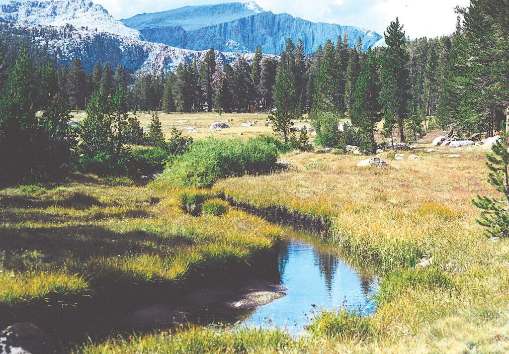 streams