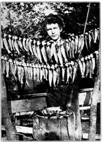 steelhead-limit
