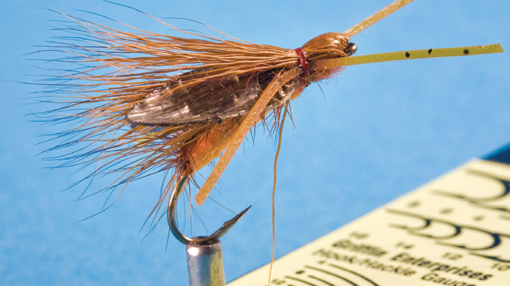 bills_big_fish_fly