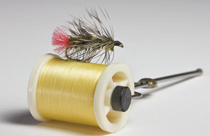 woolly-worm