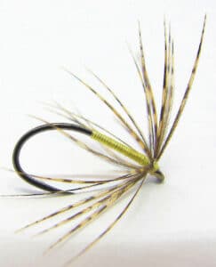 A classic “spider” wet fly: the Partridge and Yellow.