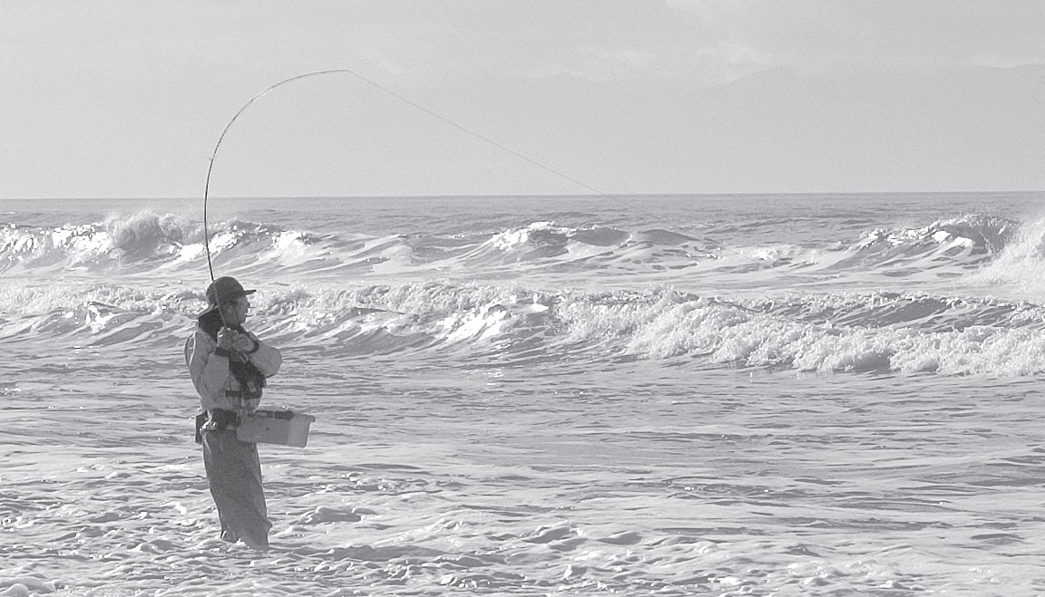 shimano 4000 sienna RE it is still a 12978-01 Model:ICB3000HA WIN! Three Okuma 8K