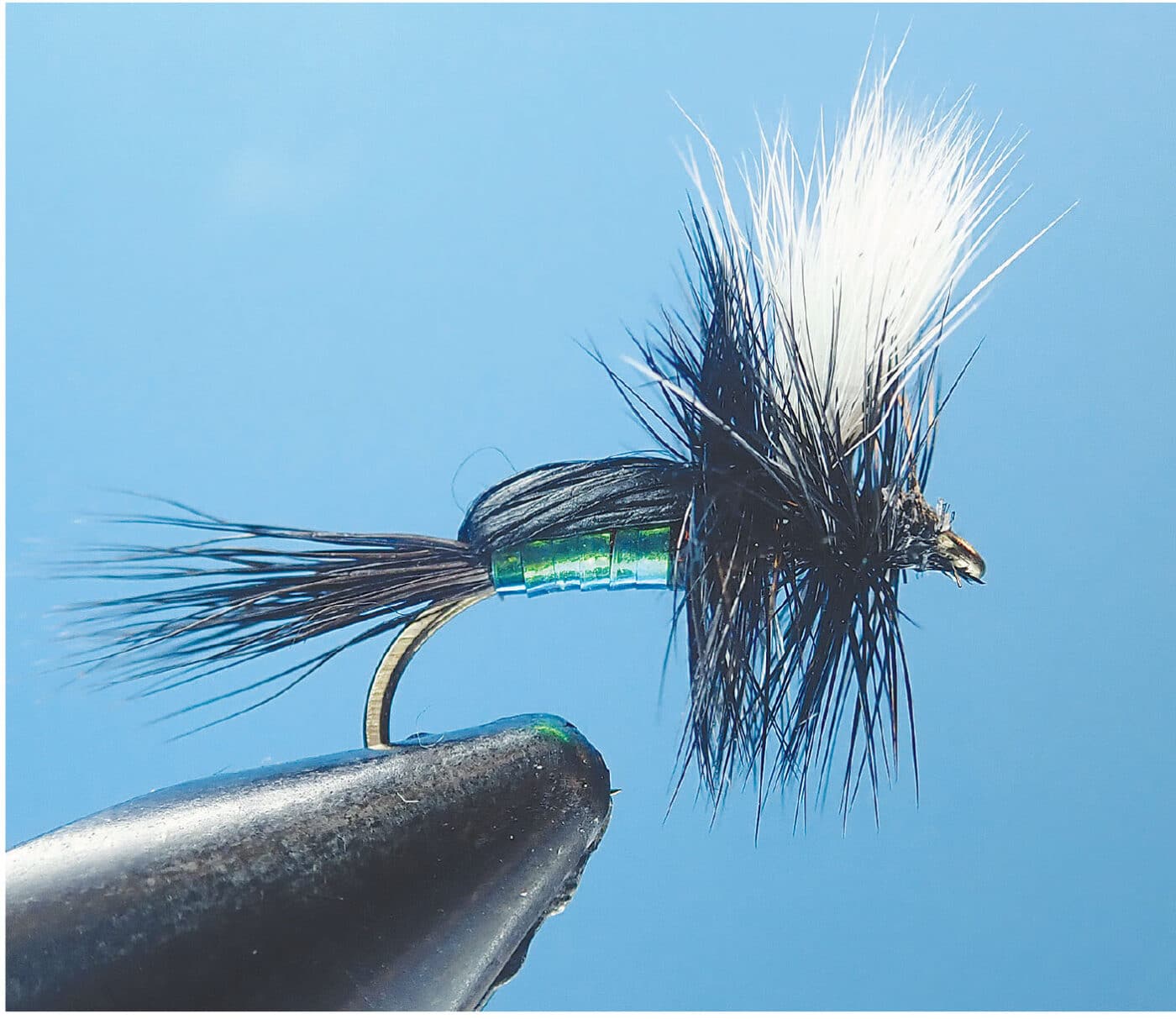 The Spruce - California Fly Fisher