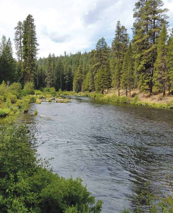 oregon