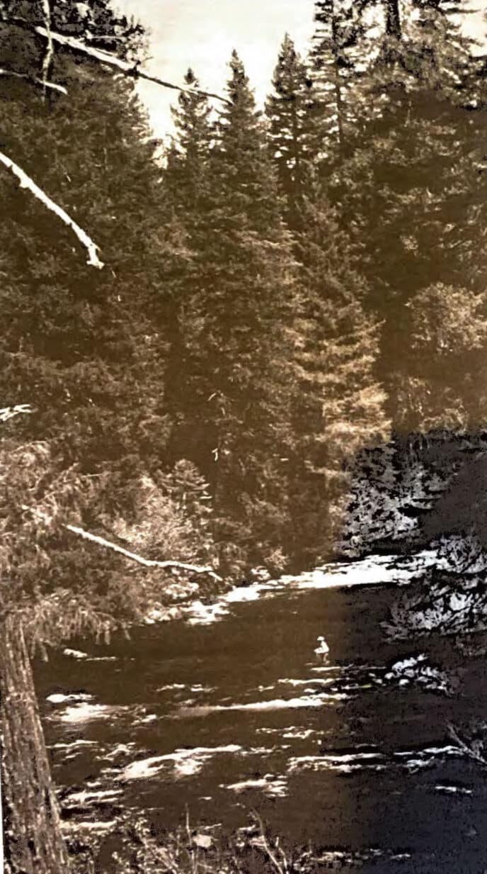 McCloud River canyon