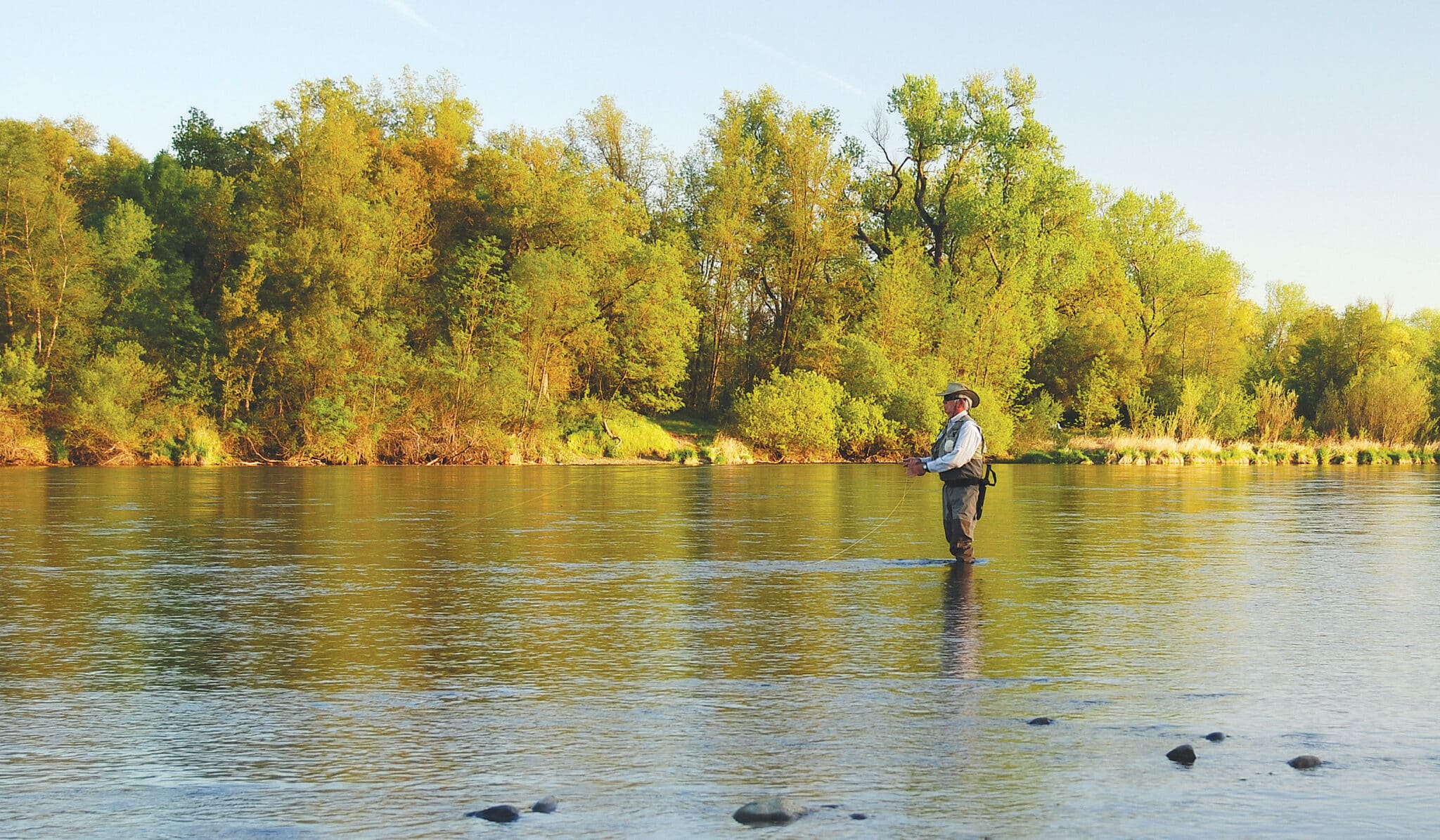 Southeastern Delta's A Summertime Option: Topwater Bass in the Southeastern Delta ...