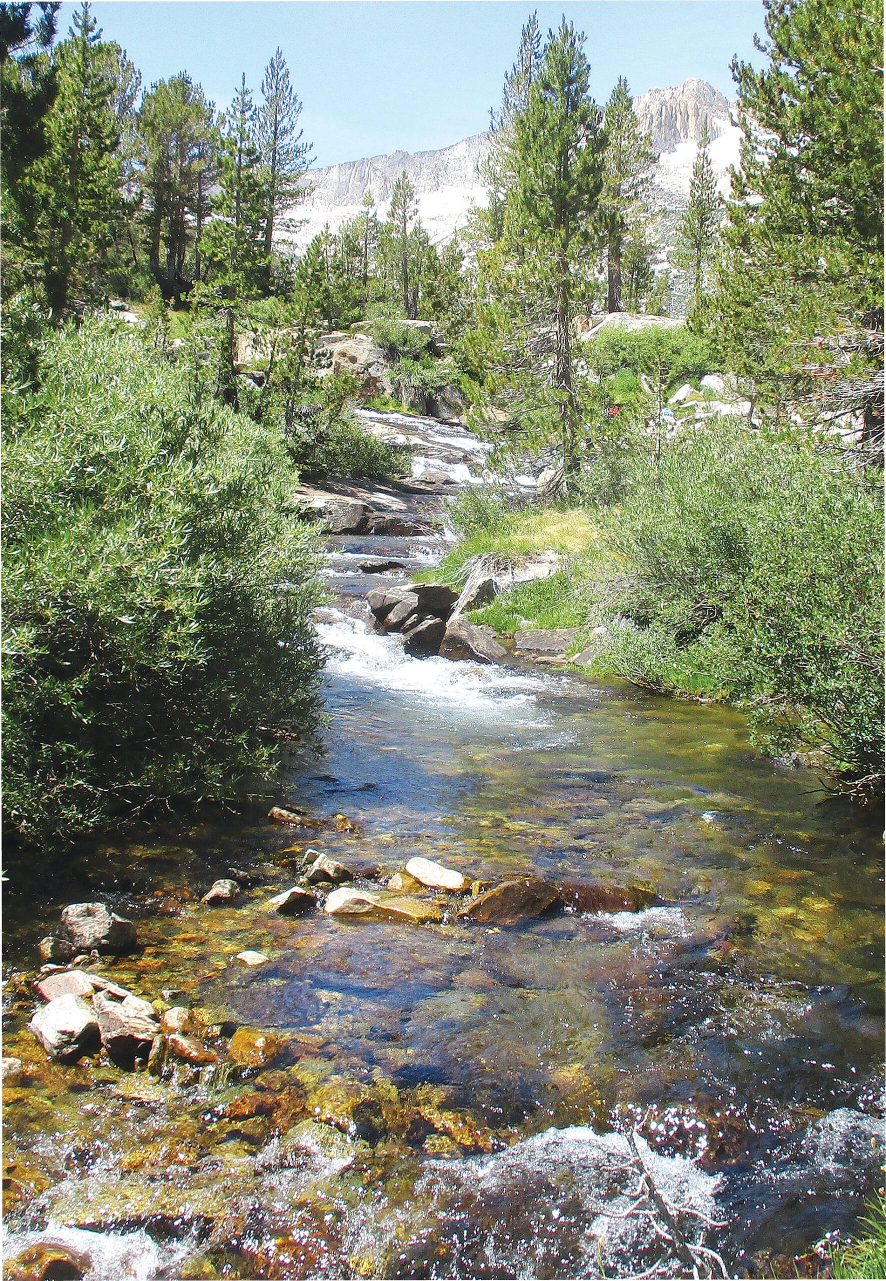 e Luks、TROUT FISHERMEN,BERK HILLS Wild-Trout Waters: The Lee Vining Region - California Fly Fisher