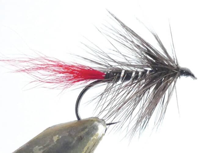 flies