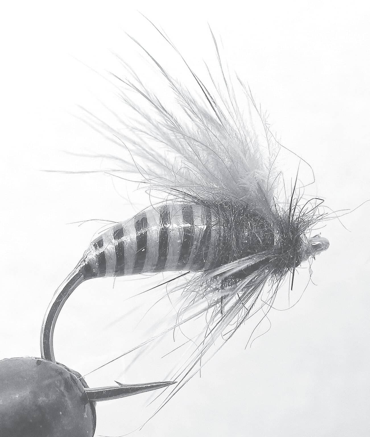 Backpacking for Trout: A Beginner’s Guide - California Fly Fisher