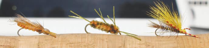 flies