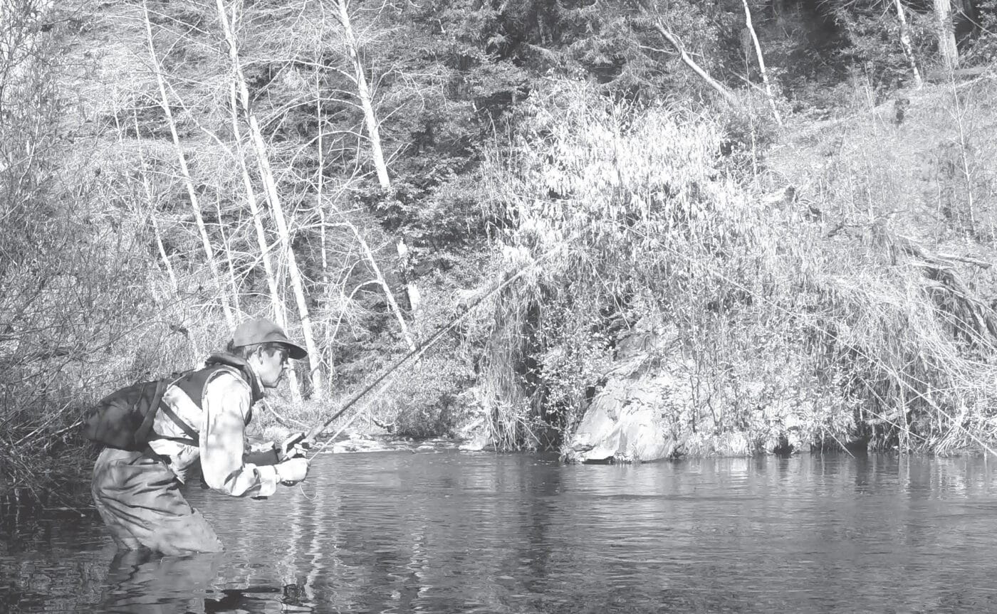 Gearhead: The Punk Rod - California Fly Fisher