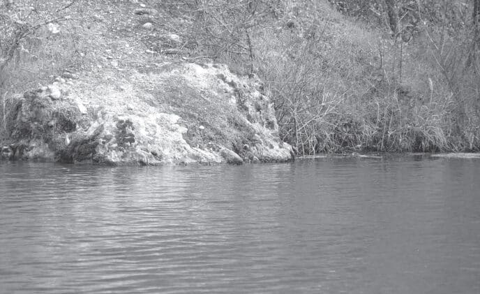 bass-fishing