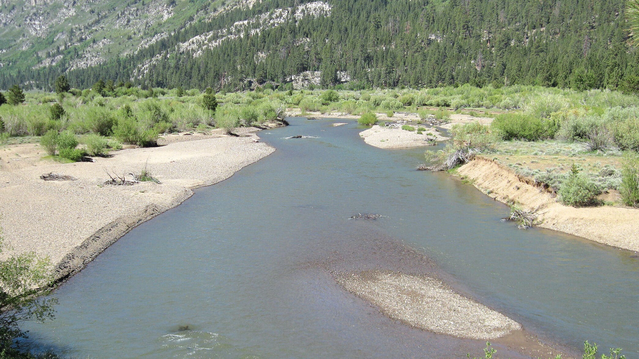 Feathering Rive The North Fork of the Feather River - California Fly Fisher