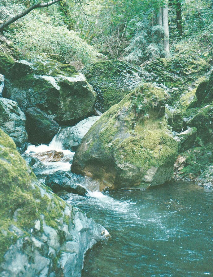creek
