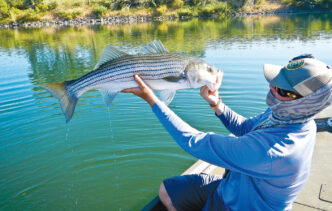 striper