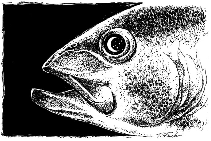 ILLUSTRATION BY TOM FOWLER