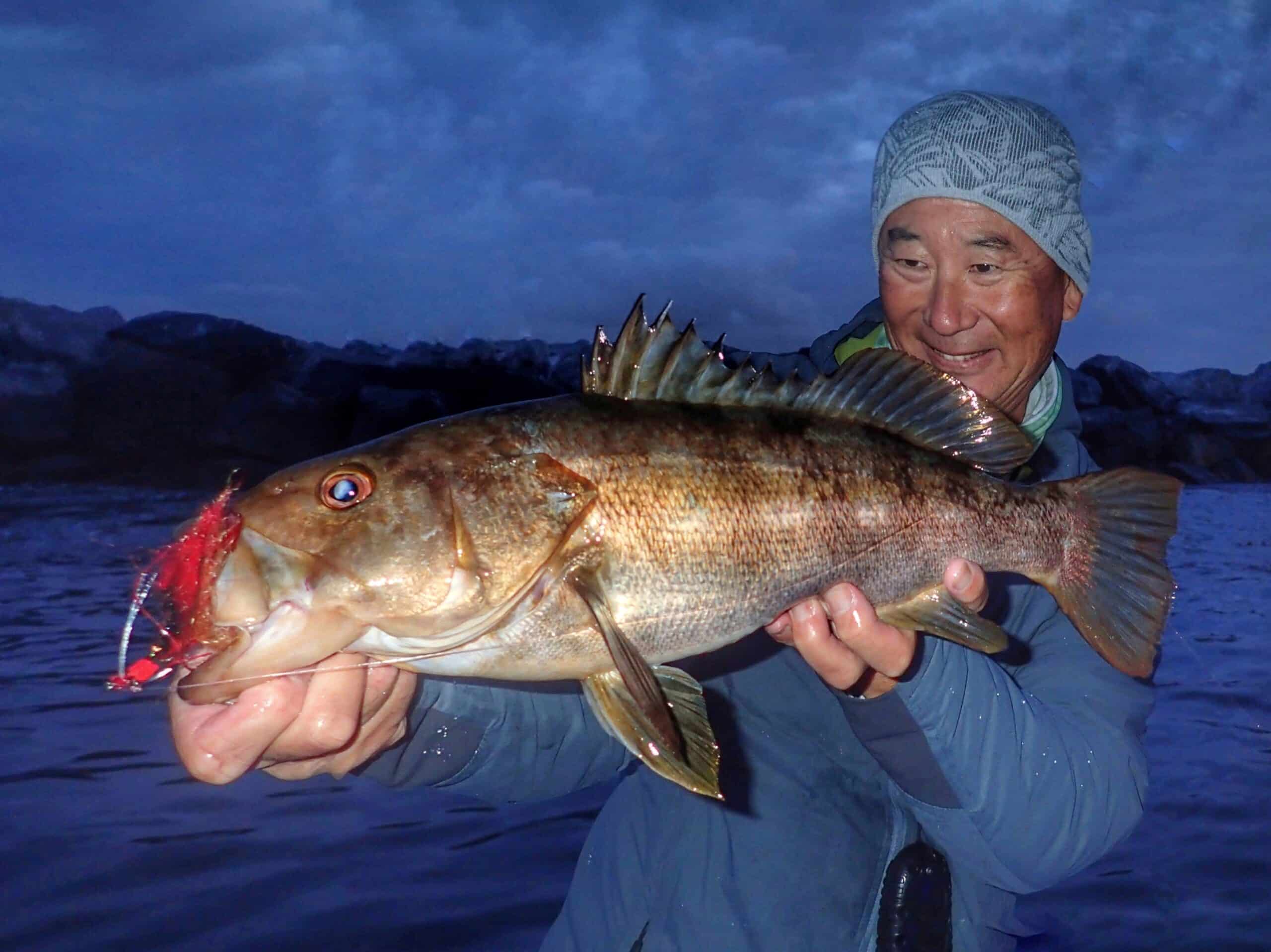 フライコレクションFISHING-FLIESCRAFTEDIN TRANSKEI The Pacific Ocean Region - Fly Assortment - Flymen Fishing Company