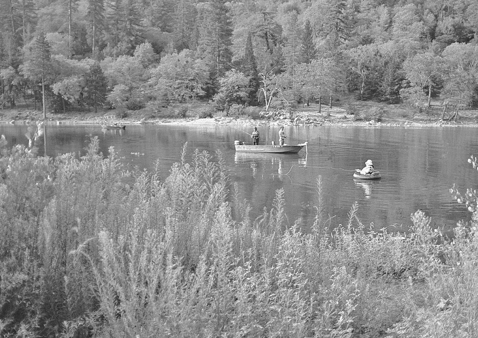 Iobo At the Vise - Once More, with Feeling: The IOBO Humpy - California Fly ...