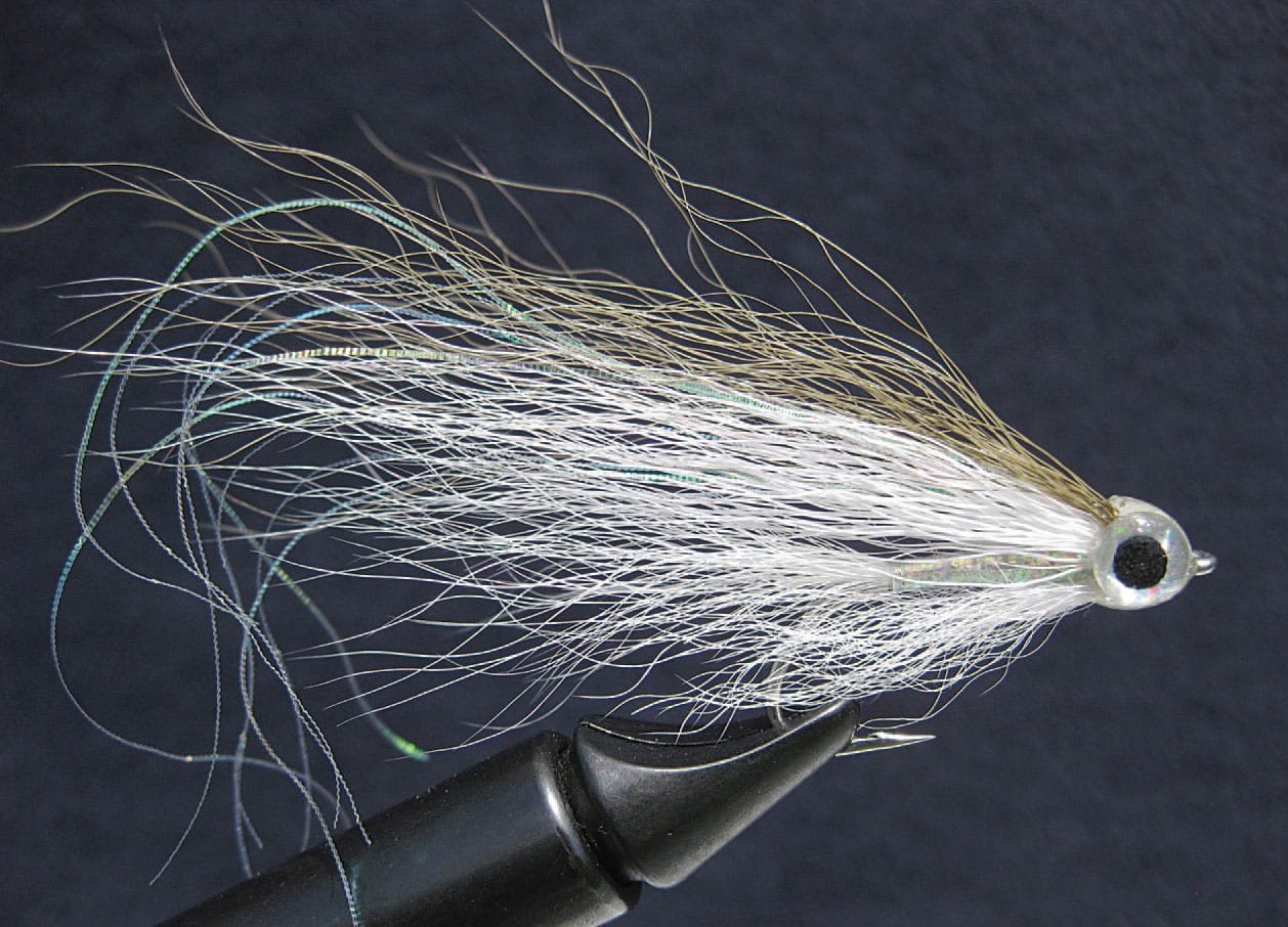 Trophy Bass in Your Backyard - California Fly Fisher