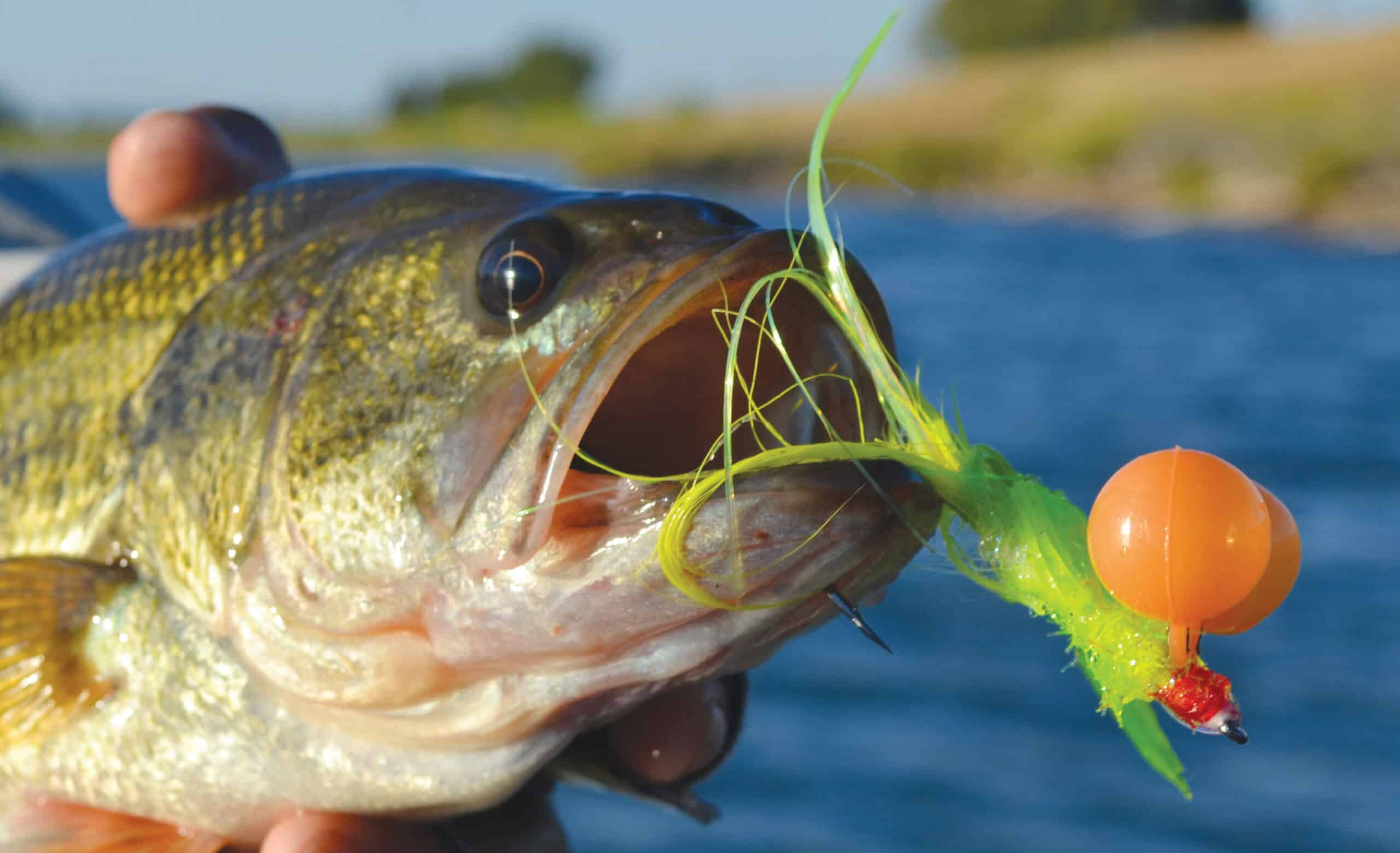 Out of the Box Fly Patterns - California Fly Fisher