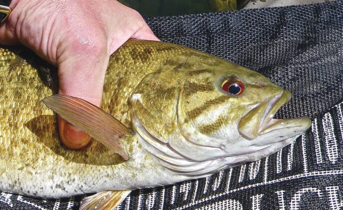 scotts-fat-reservoir