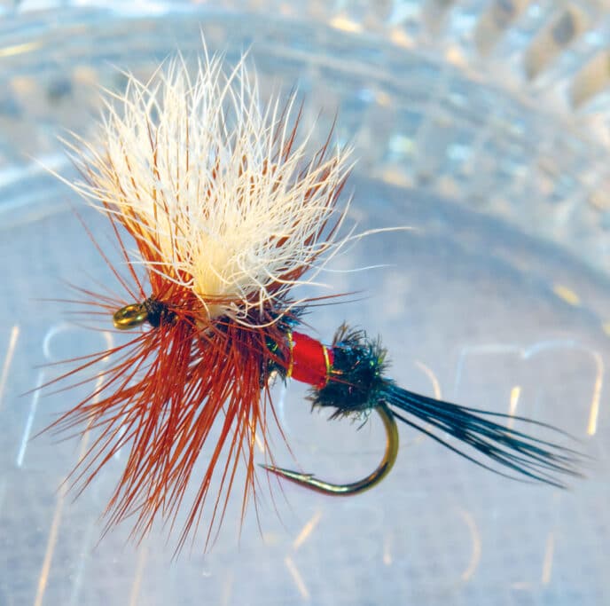 fly
