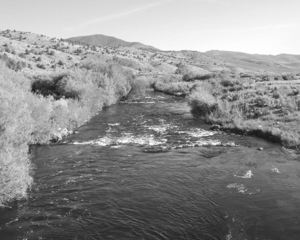 rivers