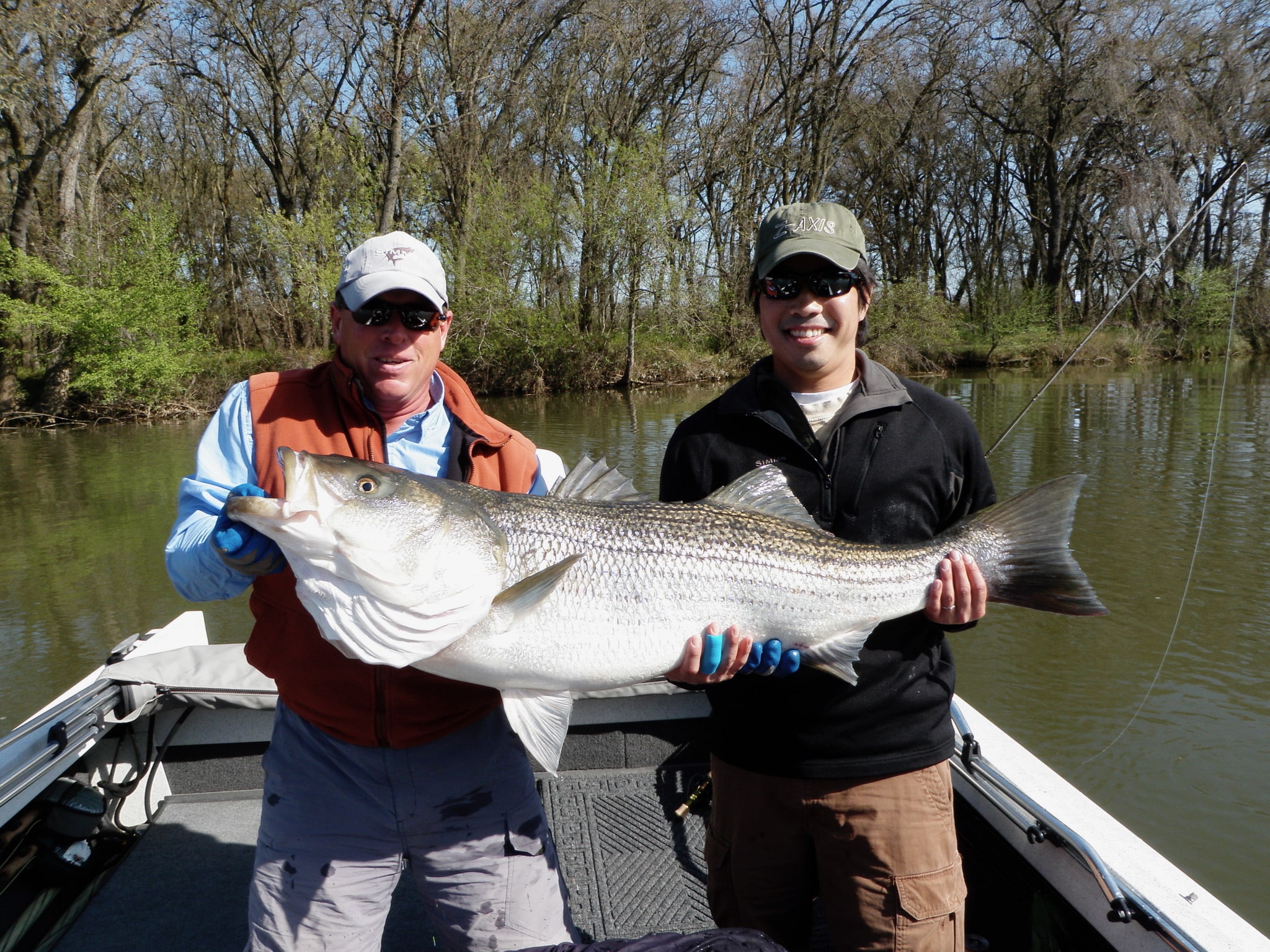 Spotlight Destination: The Delta - California Fly Fisher