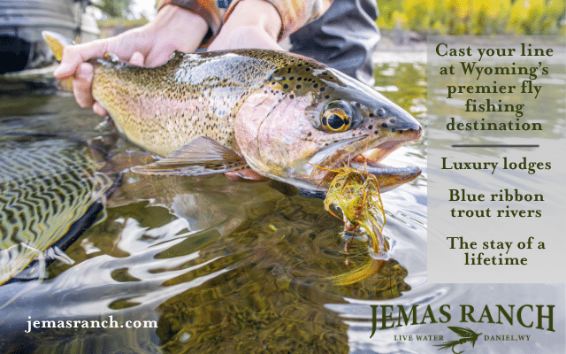 Wild-Trout Waters: The Lee Vining Region - California Fly Fisher